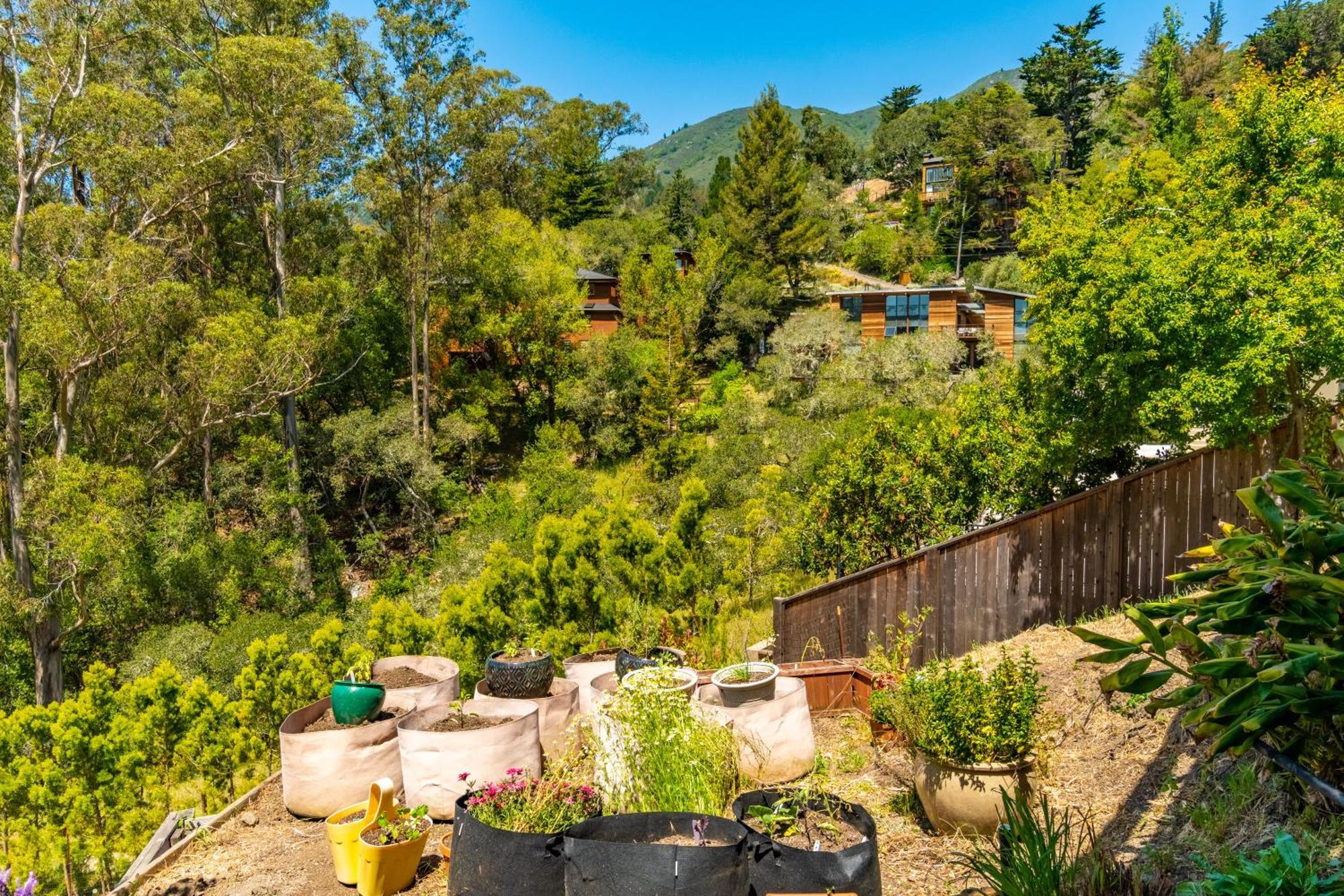 Enchanted Waterfall Sanctuary Mill Valley Exterior photo